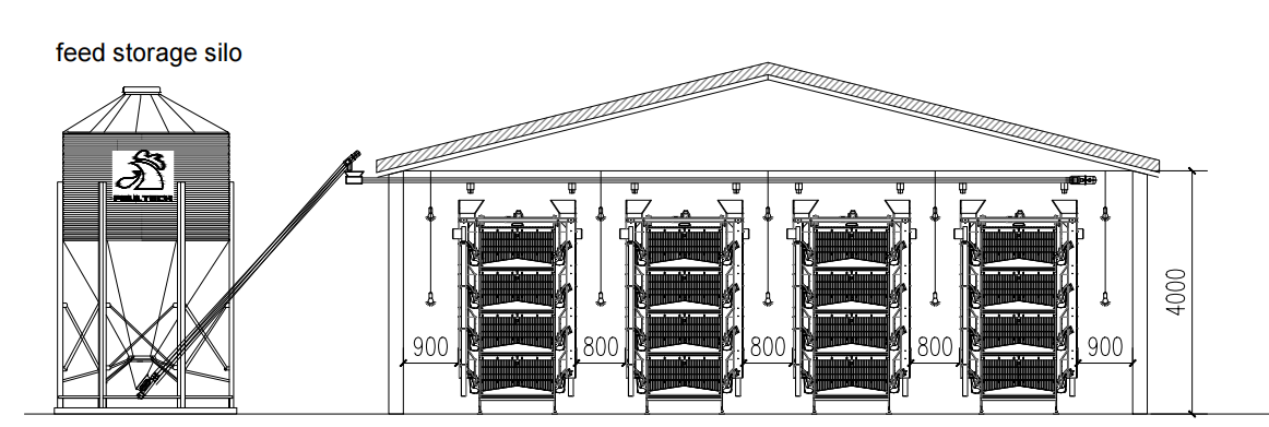 Poultry house layout with H-type layer cages