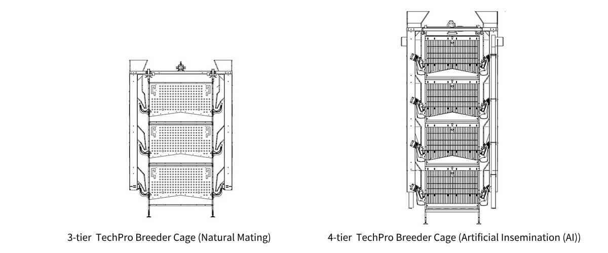 Dessin des dimensions de la cage d'élevage de type A à 3 étages et à 4 étages