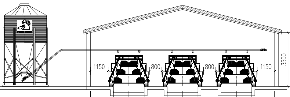 A-Type pullet cage house with feed silo and cage rows