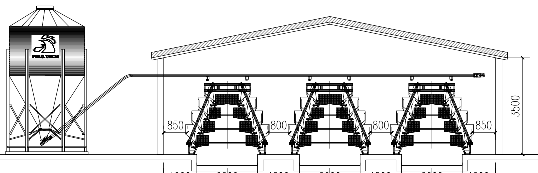 conception d'un bâtiment de cages à poules pondeuses avec silo d'alimentation et lignes de cages