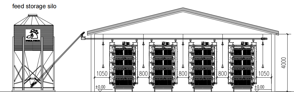Complete pullet rearing system layout with feed silo and cage arrangement