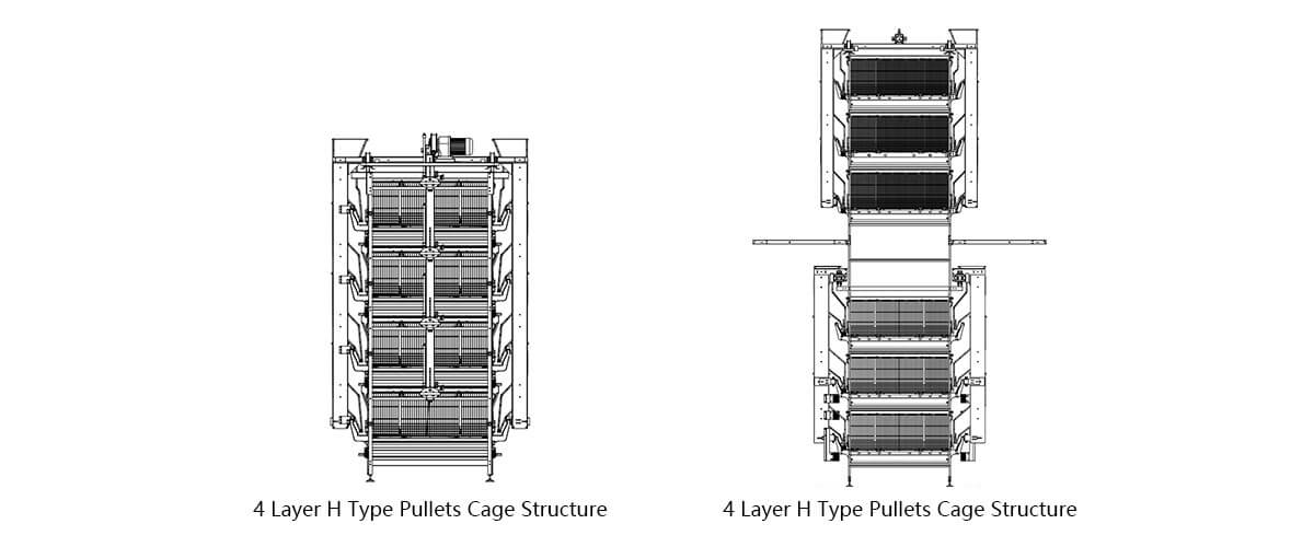 Four-tier pullet cage system technical drawing with cage dimensions