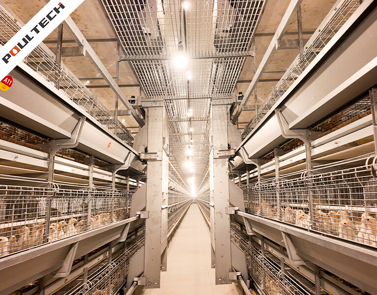 Automatic feeding system with feed trolley for pullet battery cages