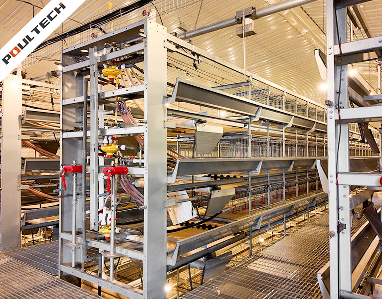 Front section of pullet cage water line with pressure regulator and valves