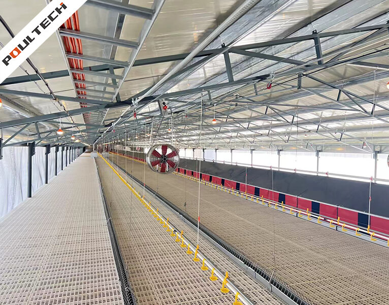 bâtiment commercial d'élevage au sol avec ligne d'alimentation centrale