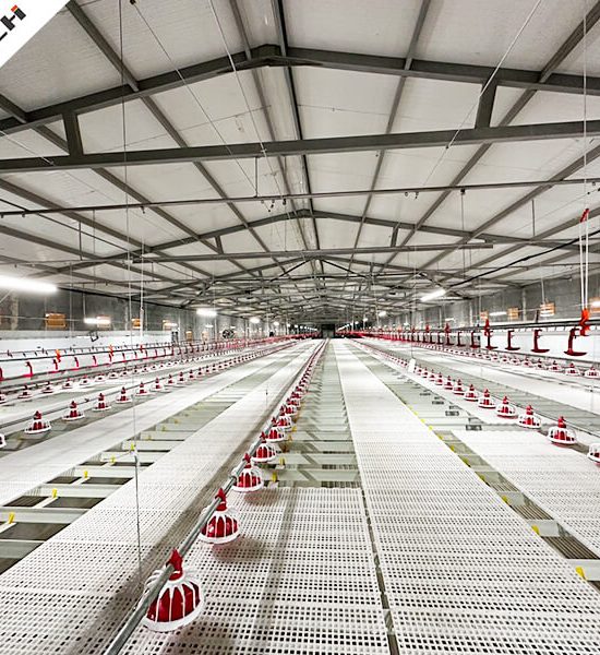 TechFloor broiler system with automatic pan feeding lines and nipple drinkers in a modern poultry house