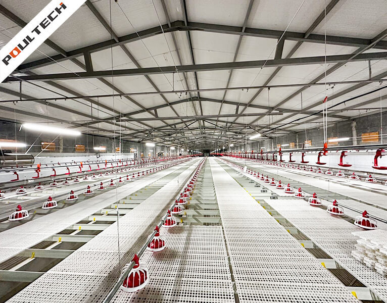 TechFloor broiler system with automatic pan feeding lines and nipple drinkers in a modern poultry house