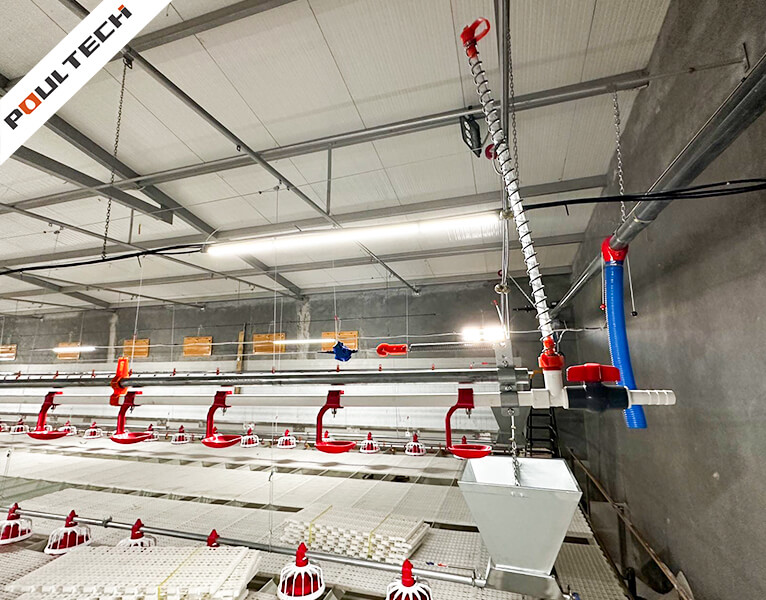 Gros plan sur la ligne d'alimentation de la cuvette rouge et la ligne d'abreuvement de la tétine du système d'équipement de grillade TechFloor