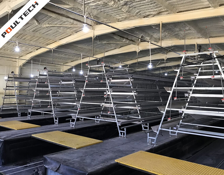 Conception modulaire et passerelle du système de cages à couches TechEasy
