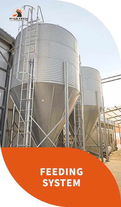 automated feed delivery system with feed silo