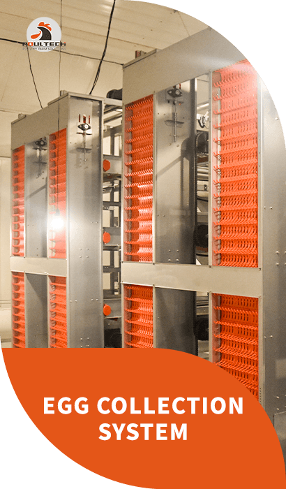 Egg Collection System