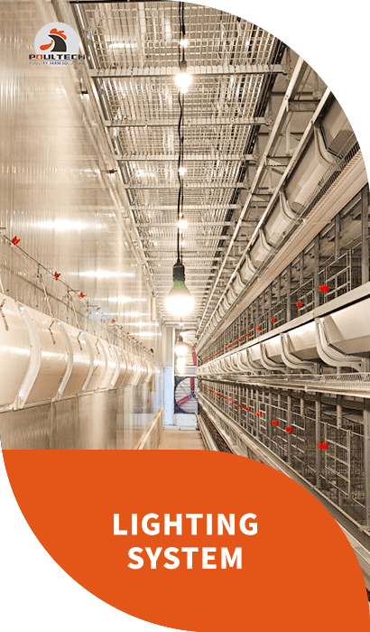 LED lighting system for pullet, layer and breeder houses