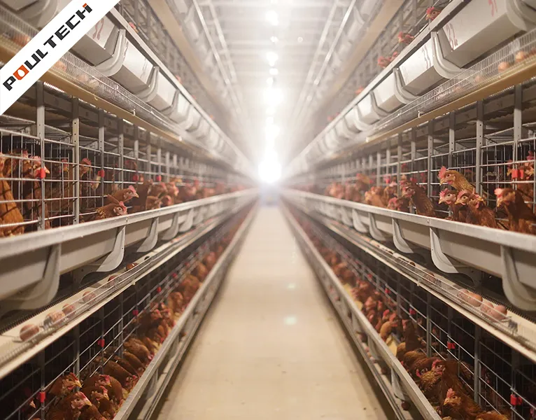 central aisle in stacked layer cage system