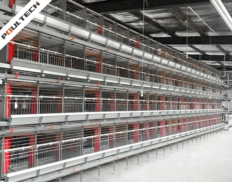 système commercial de cages d'accouplement naturel avec conception à plusieurs niveaux