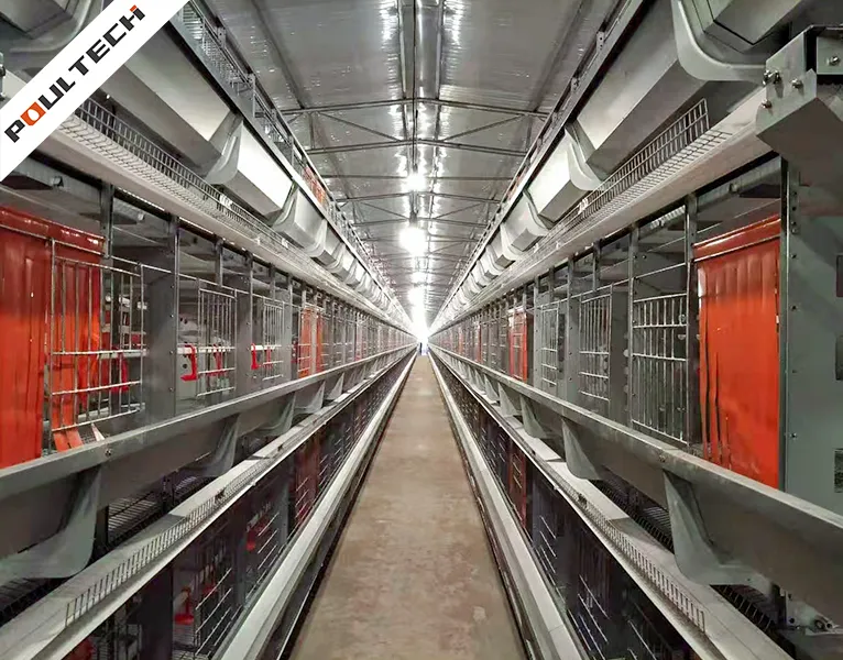 cage à volailles à haute efficacité pour l'accouplement naturel