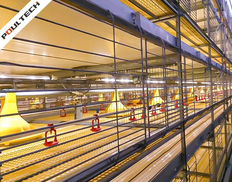 Système de cages en batterie à plusieurs niveaux pour poulets de chair TechPro avec alimentation et abreuvement automatisés