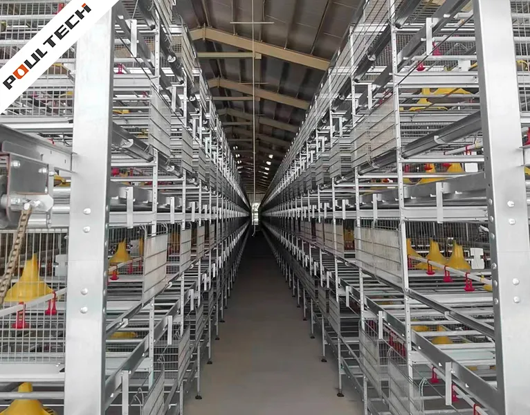 Solution d'élevage de poulets de chair à haute densité avec le système de cages empilées Poultech TechPro pour les élevages commerciaux de volailles
