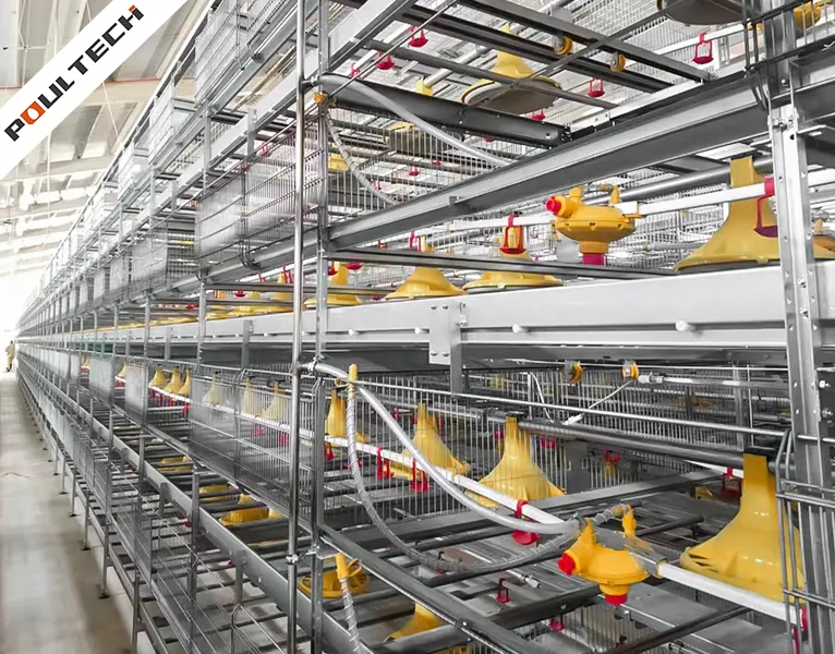 la structure en acier galvanisé et le tapis d'évacuation du fumier du système avancé de cages pour poulets de chair TechPro