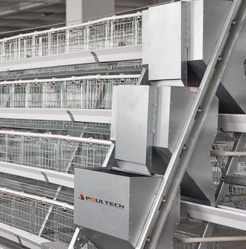 A type layer cage