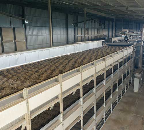 Chicken manure dryer