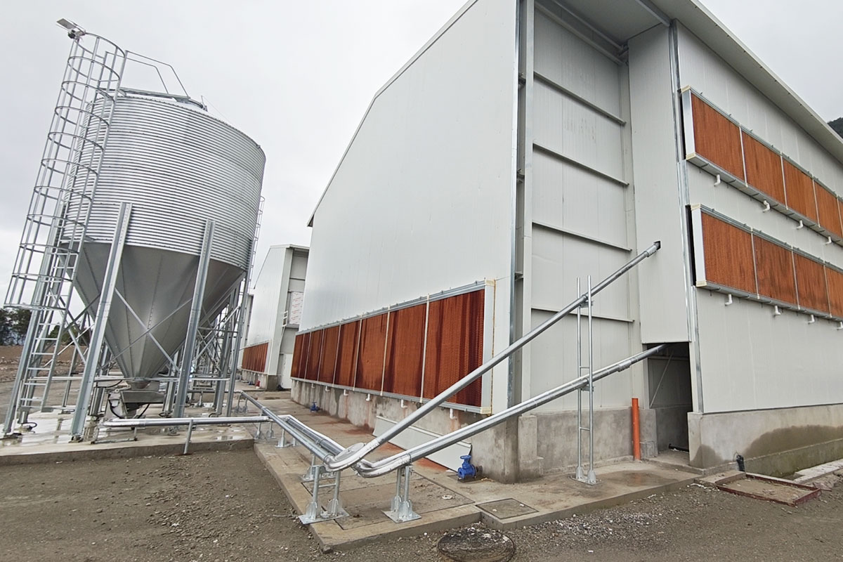 Automatic feeding system