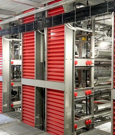 Automated Egg Collection Machine – An Essential for Modern Farms