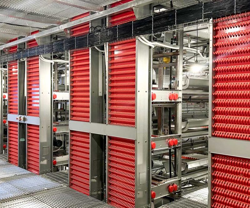 Egg collecting machine