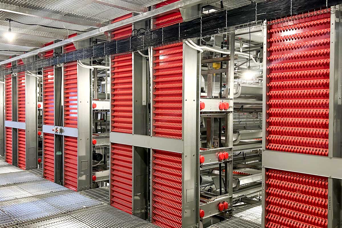 Egg collecting machine