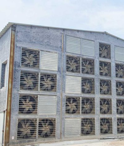 Seven Key Dimensions to Help You Precisely Control the Ventilation Cycle and Duration in Your Chicken House