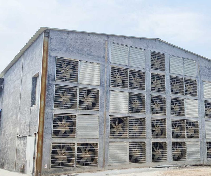 Chicken house ventilation system