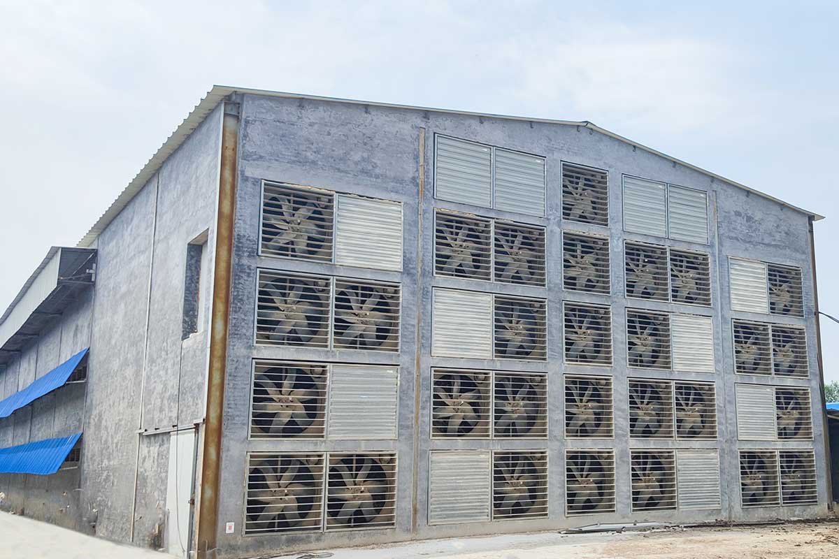 Chicken house ventilation system