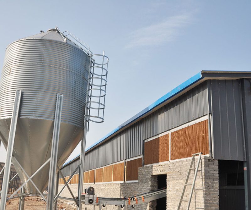 Feeding system