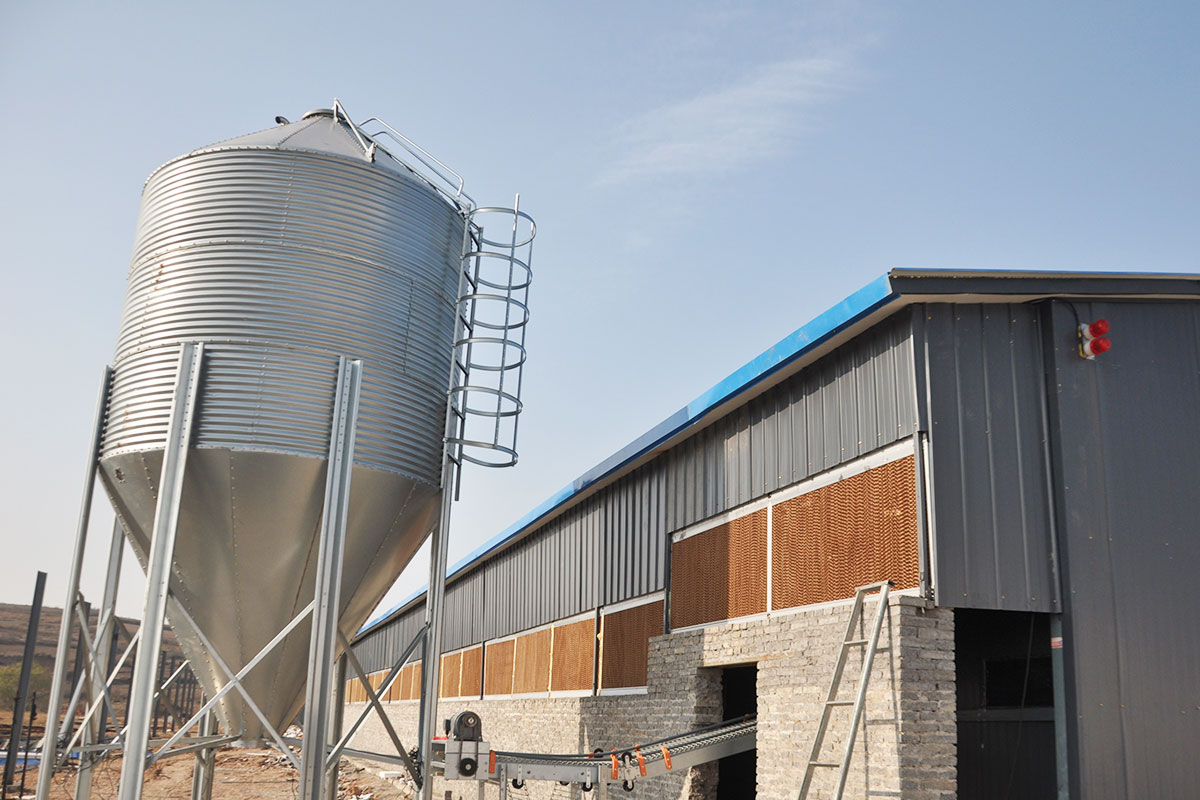 Feeding system