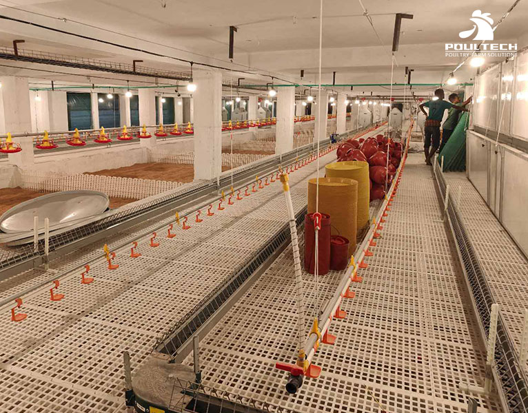 Breeding Chicken Flooring System