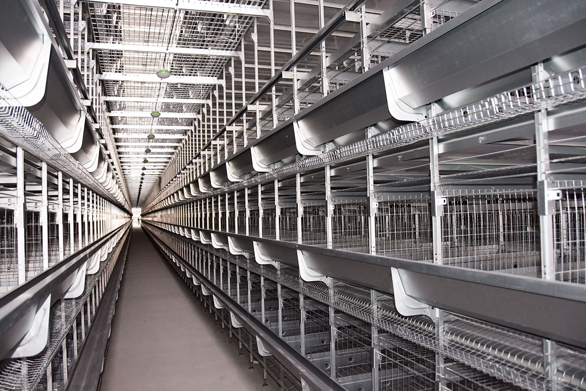 Hot-dip-galvanized-chicken-cages