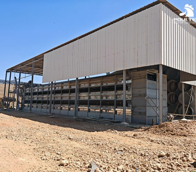Poultry Manure Drying Equipment