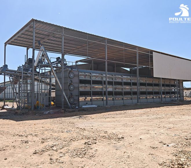 Poultry Manure Drying Equipment
