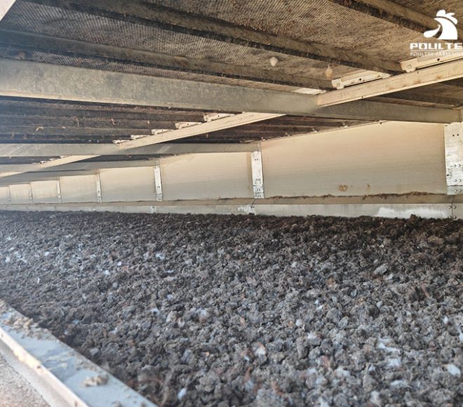 Poultry Manure Drying Equipment