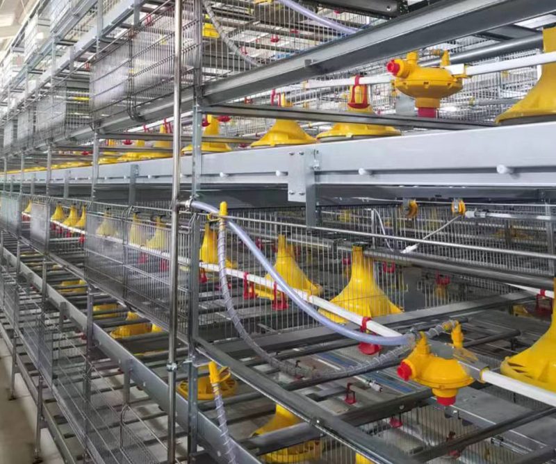 Broiler cage equipment