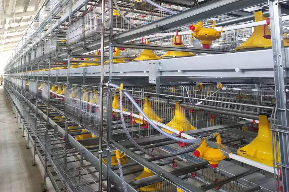 Broiler cage equipment