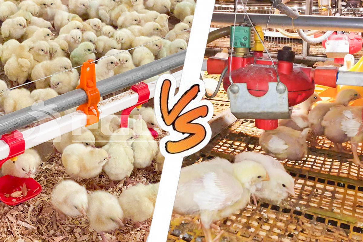 Broiler rearing equipment