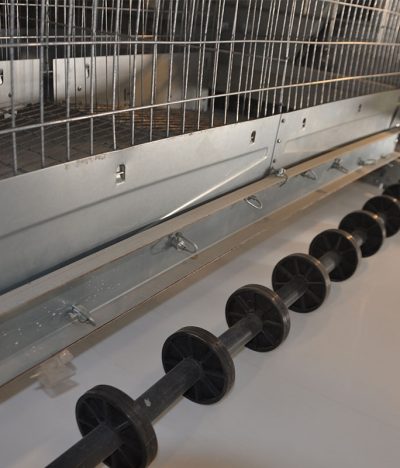 Why Do the Manure Belts in Layer Hen Farms Constantly Drift Off-Track?